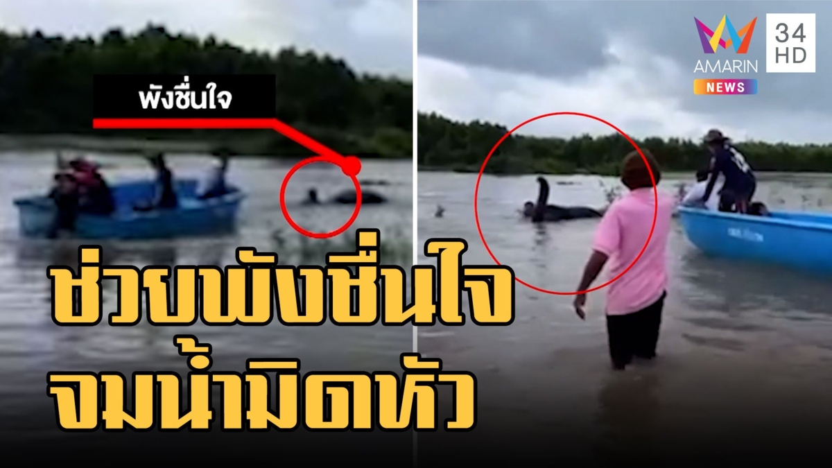 นาทีบีบหัวใจ พังชื่นใจ จมน้ำ ควาญช่างระดมช่วยสุดชีวิต