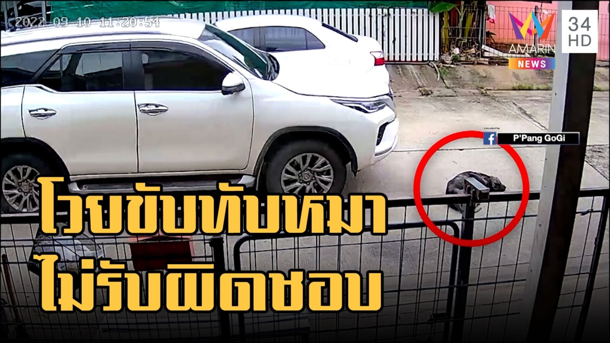 โวย! ฟอร์จูนเนอร์ขับทับหมาไม่รับผิดชอบ