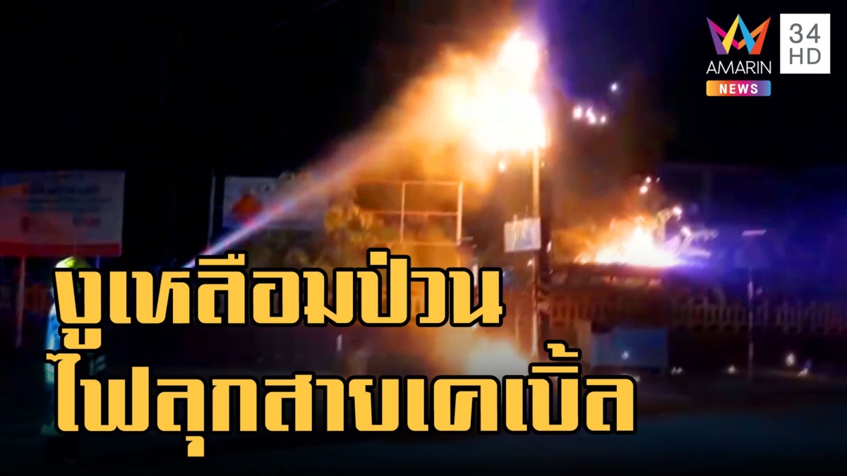 งูเหลือมป่วนเลื้อยขึ้นเสาไฟ ทำไฟลุกสายไฟ-สายสื่อสาร