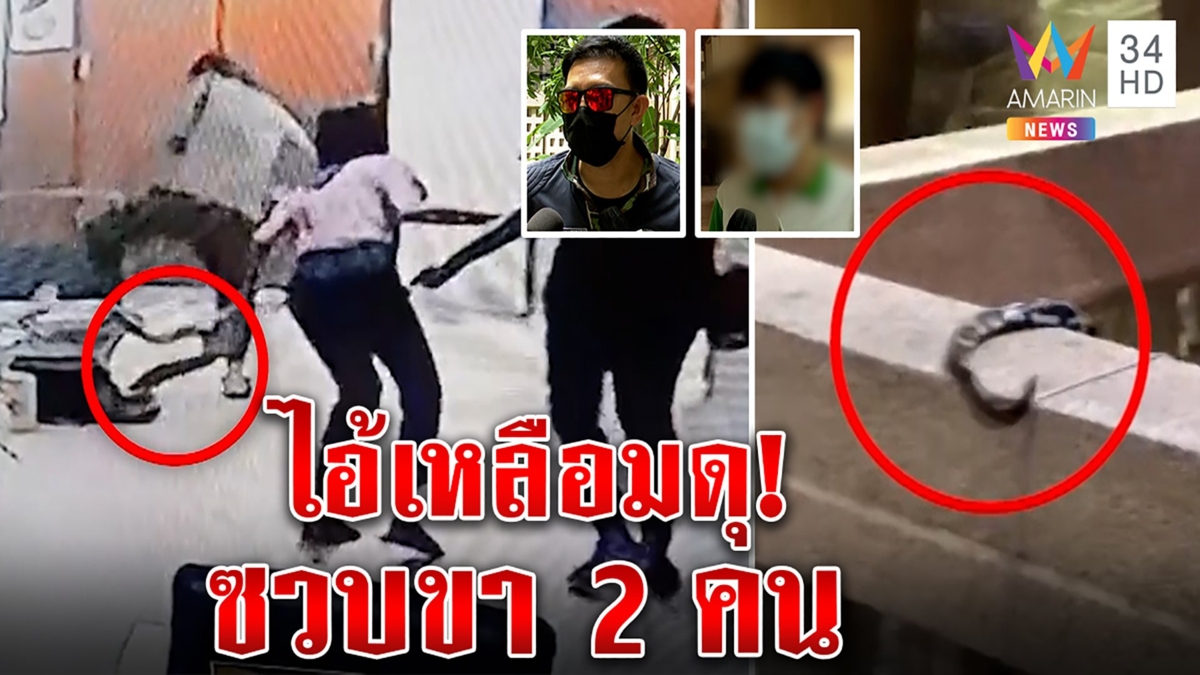 ระทึก งูเหลือมซวบขาจนท. 2 รายซ้อน หมอล็อตรู้ที่มา หลังตึกแหล่งแฝงตัว