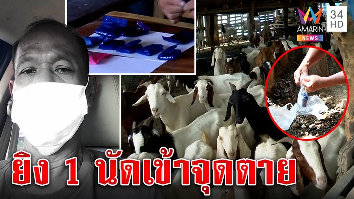 ดวลเดือด! วิสามัญหนุ่มเลี้ยงแพะบังหน้าค้ายาหมื่นเม็ด ตะลึงกระสุนนัดเดียวปลิดชีพ