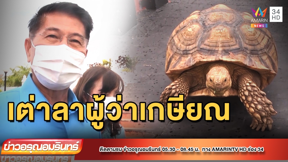 เต่ากราบลาผู้ว่าฯ ณ ลานพระบรมราชานุสาวรีย์พ่อขุนศรีฯ