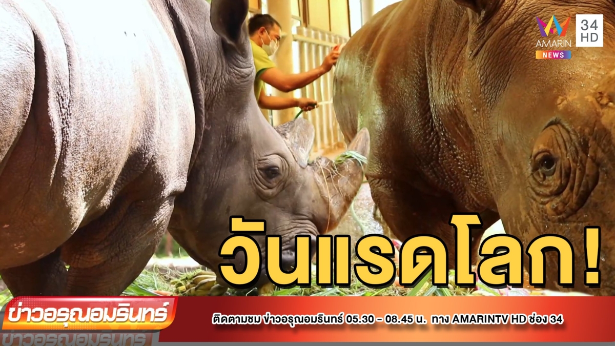 กินไม่อั้น! บุฟเฟ่ต์ผลไม้ "วันแรดโลก"