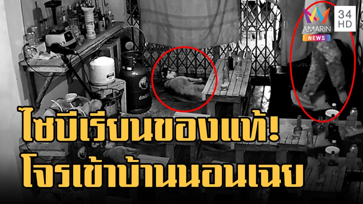 ไซบีเรียนของแท้! โจรเข้าบ้านตื่นมาดูแล้วนอนต่อ