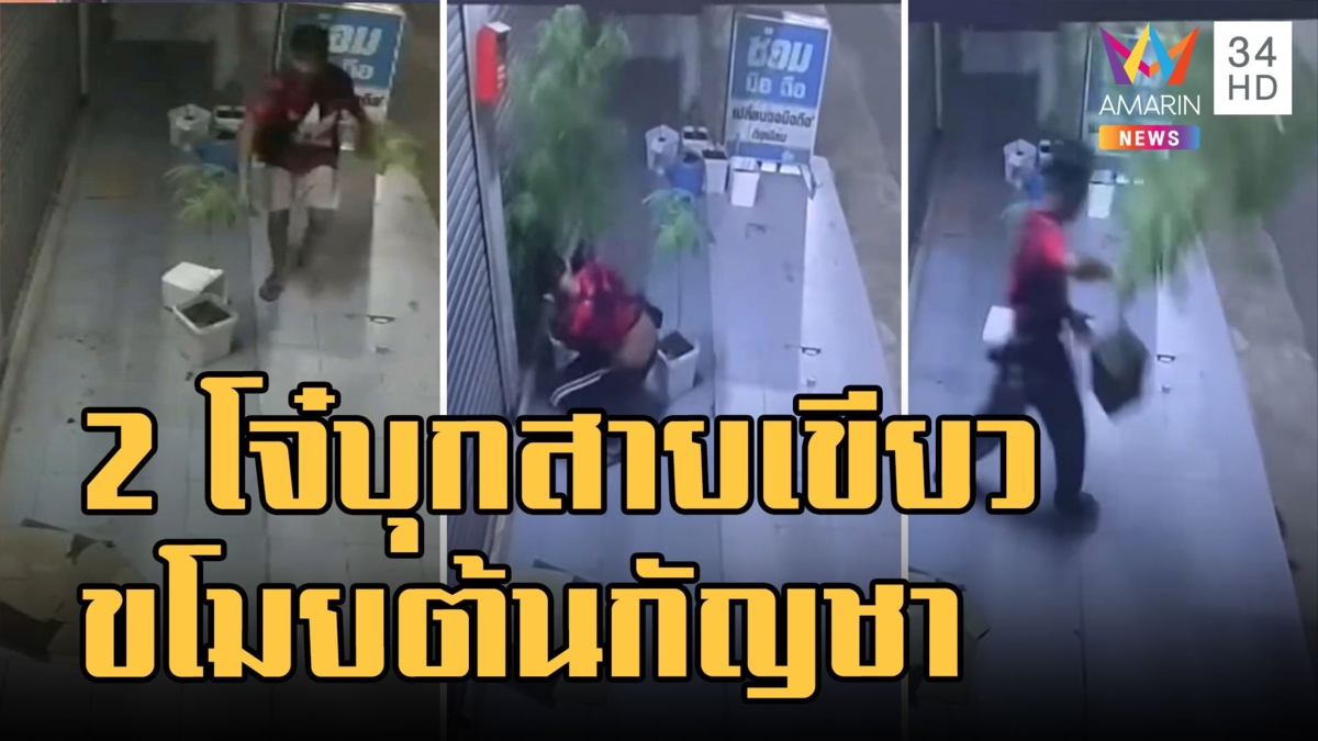 ล่า 2 โจ๋สายเขียว ขี่ จยย.ฉกต้นกัญชาหน้าบ้าน
