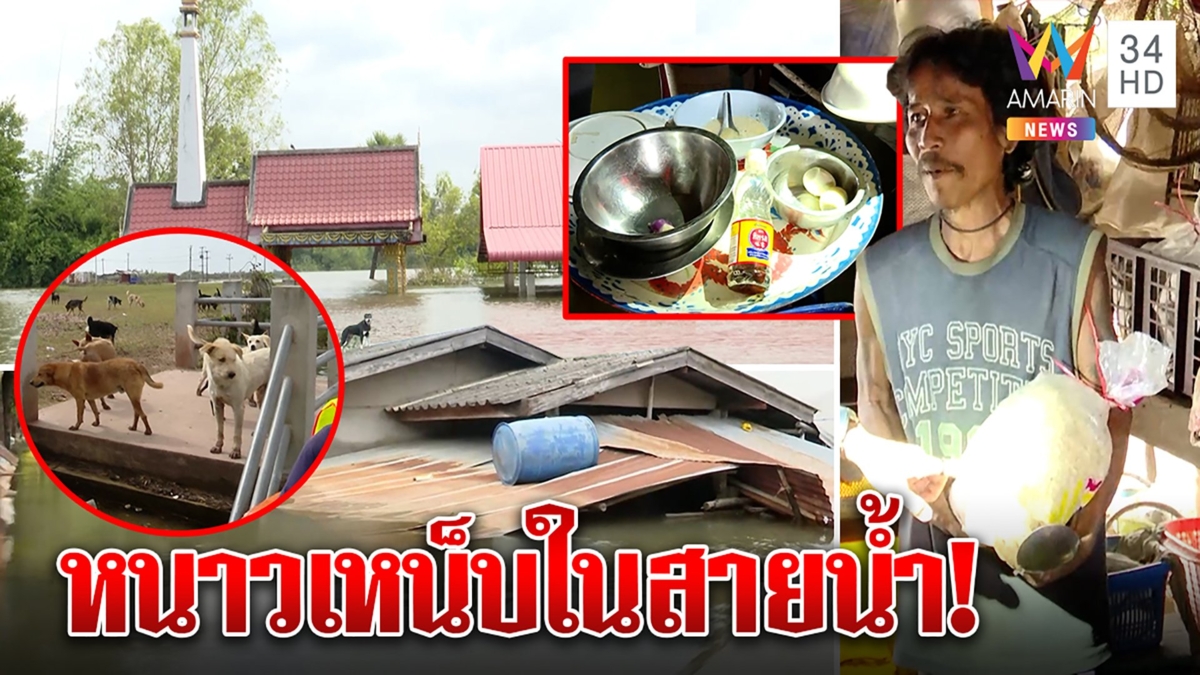 เวทนาหมาร้อยชีวิตติดเกาะน้ำท่วม พระห่วงเมรุถล่ม ชาวอุบลทนหนาวขาดข้าว-ยา