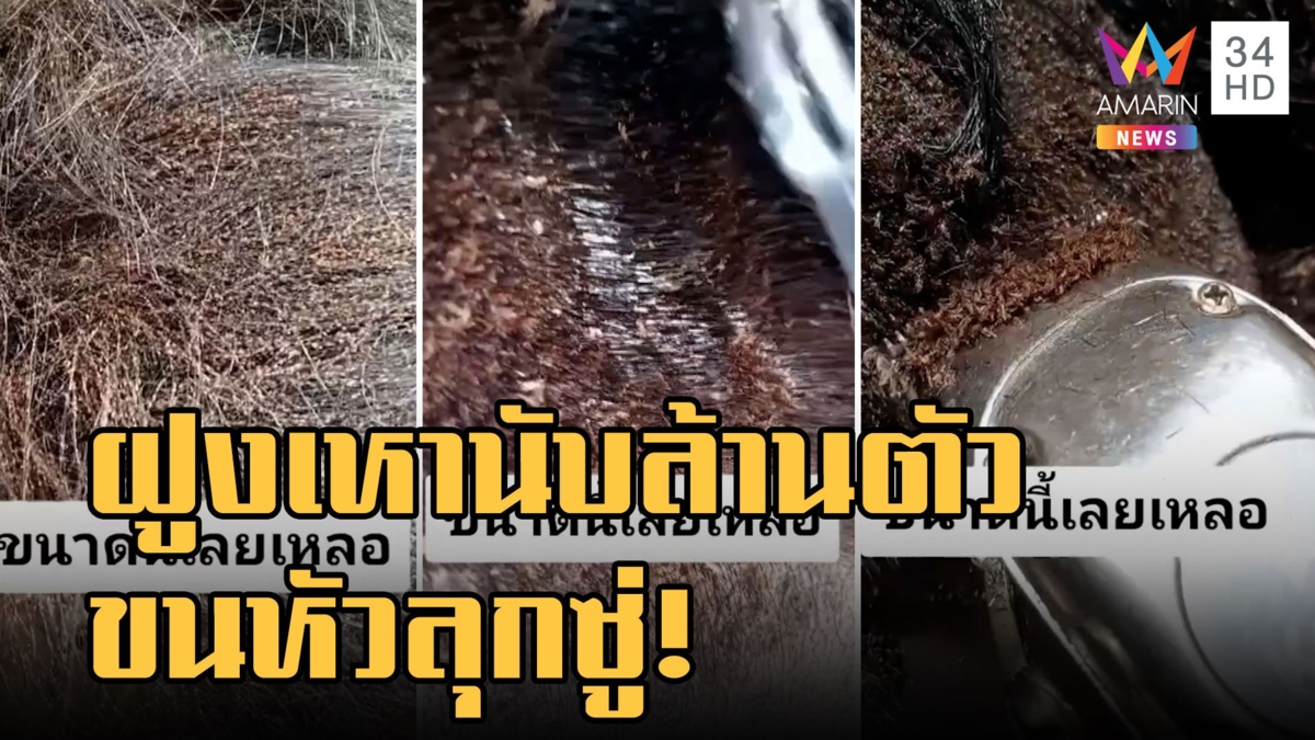 ขนลุกซู่! สาวไร้บ้านเหาขึ้นทั้งหัวชวนสยอง ชาวบ้านใจดีโกนผมทิ้งให้