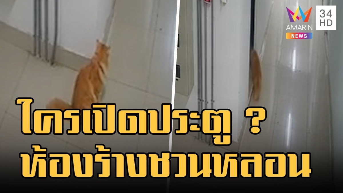 ห้องร้างชวนหลอน! ใครเปิดประตูให้แมว เรียกเหมียวประตูเปิดปิดเอง