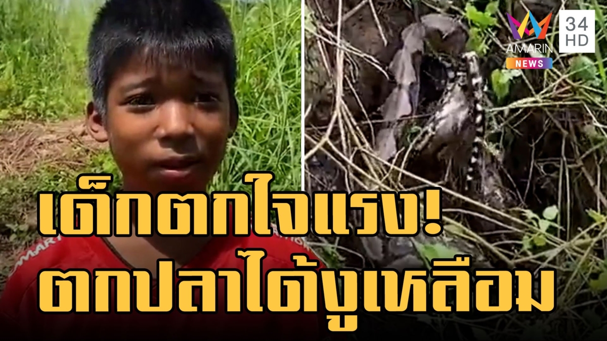 เด็กช็อกเลย วางเบ็ดตกปลาไว้แต่ได้งูเหลือม 4 เมตรมากินเหยื่อ