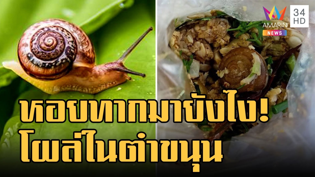 สาวสั่งตำขนุน เจอ "หอยทาก" มาทั้งเปลือก ทีแรกนึกว่าเห็ด