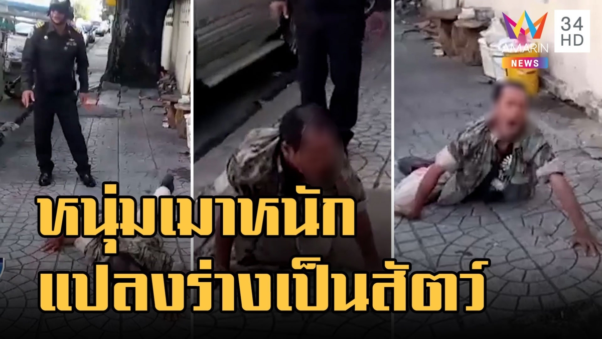 หนุ่มเมาหนัก แปลงร่างเป็นสัตว์หลายชนิด เสือ-ตะขาบ-ลิง มาครบ