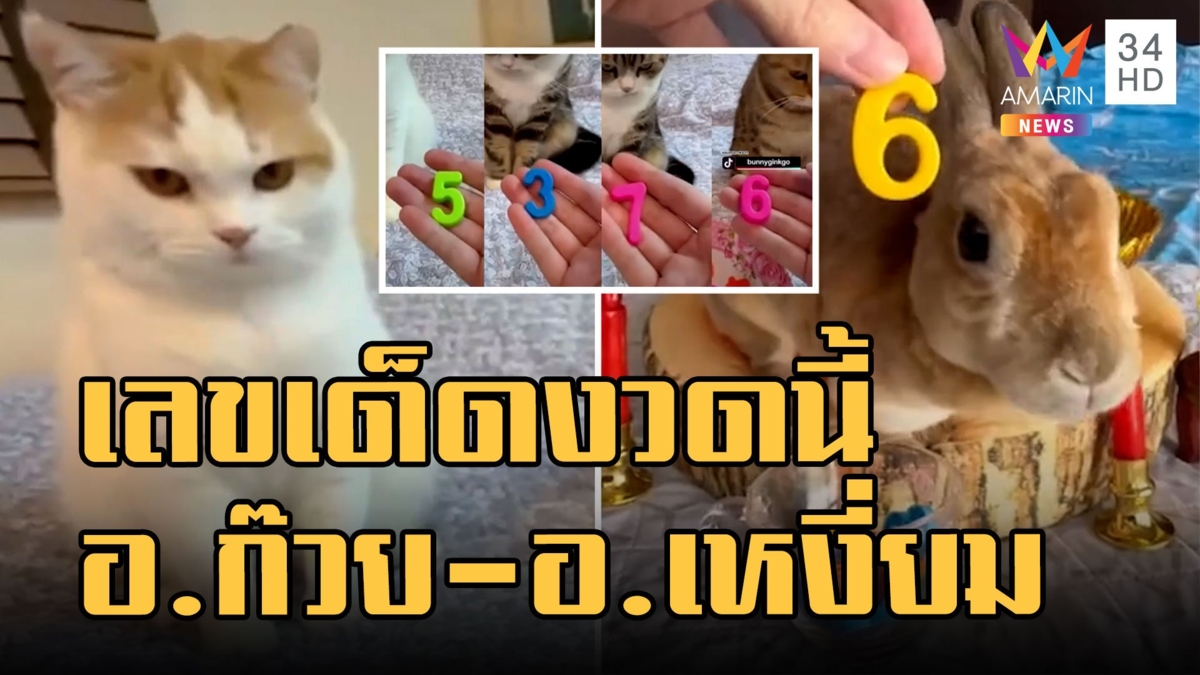 อ.ก๊วย กระต่ายคาบเลขเด็ด อาจารย์เหงี่ยมไม่น้อยหน้าจัดไป 4 ตัวตรงๆ