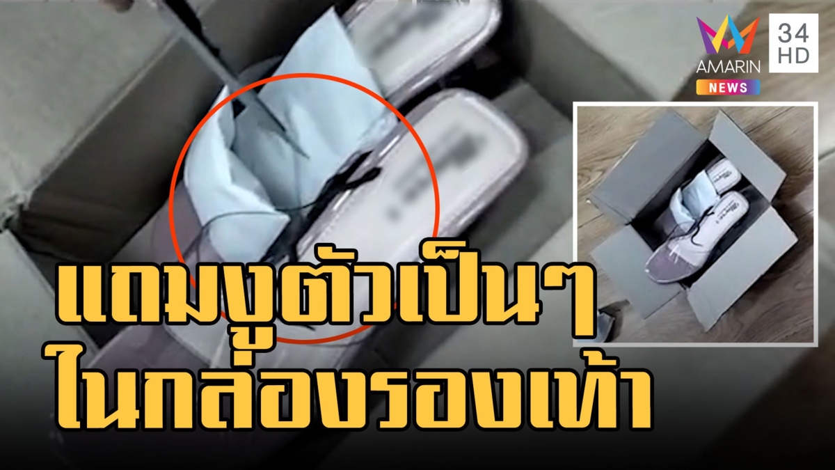 สั่งรองเท้าออนไลน์ได้สินค้าตรงปก ได้ของแถมเป็นงูตัวเป็นๆ