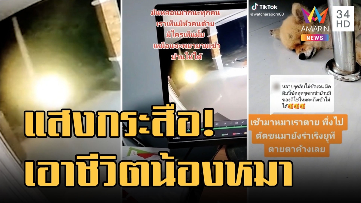 แสงปริศนาลอยหน้าบ้าน รุ่งเช้าในบ้านเกิดการสูญเสีย เชื่อเป็นแสงกระสือ