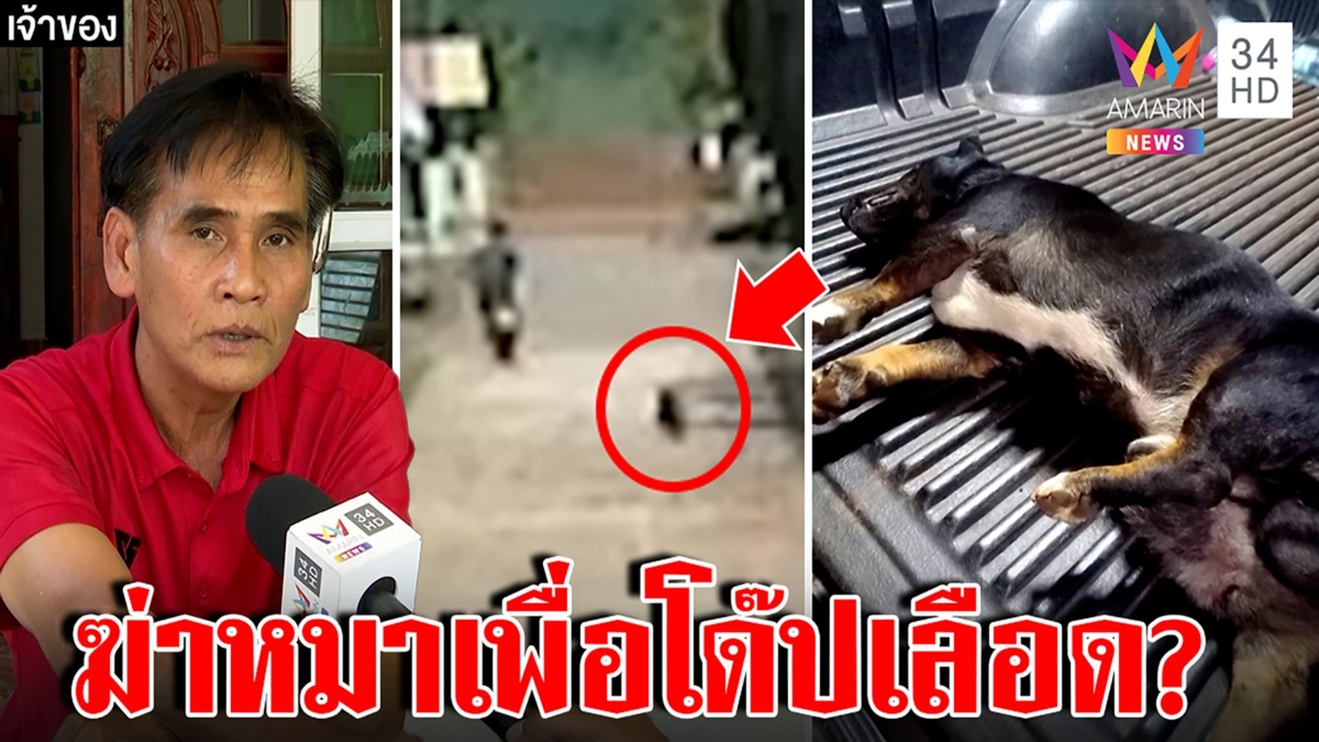 สะพรึงฆาตกรเหี้ยมไล่ฆ่าหมารีดเลือดชงเหล้า หมอยันโด๊ปพิสดารไม่ช่วยปึ๋งปั๋ง