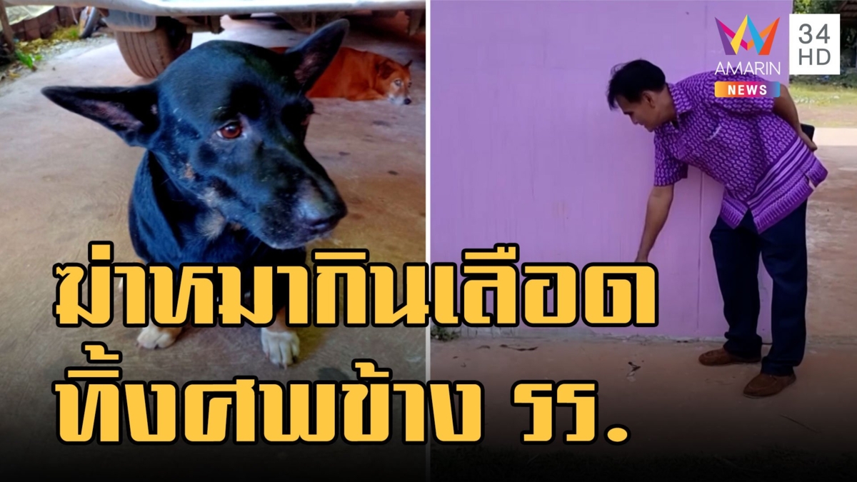 ล่ามือฆ่า "การ์ฟิลด์" น้องหมาดาวหมู่บ้าน เชื่อฆ่าหมากินเลือดเป็นยาชูกำลัง