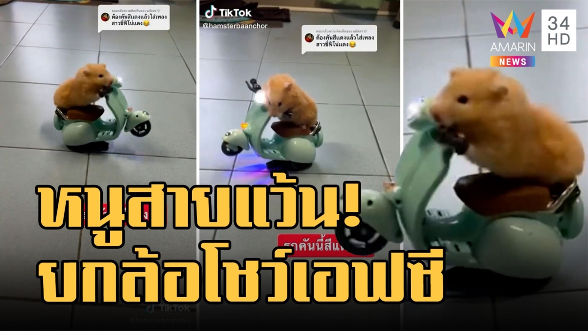 หนูแฮมเตอร์สายซิ่งควงมอเตอร์ไซค์แว้น ยกล้อโชว์