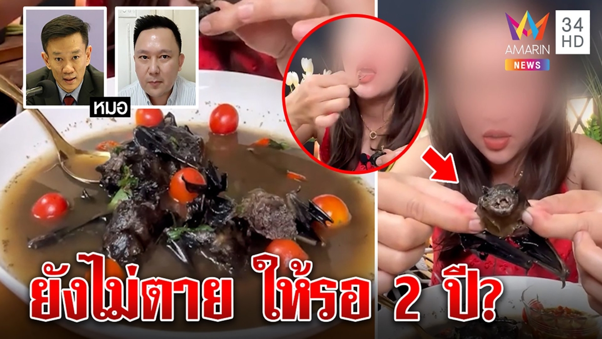 สาวเปิบค้างคาวลั่น"ยังไม่ตายค่ะ" หมอติงระวังดับ เตือนกินทั้งตัวอีก2ปีมีเสียวแน่