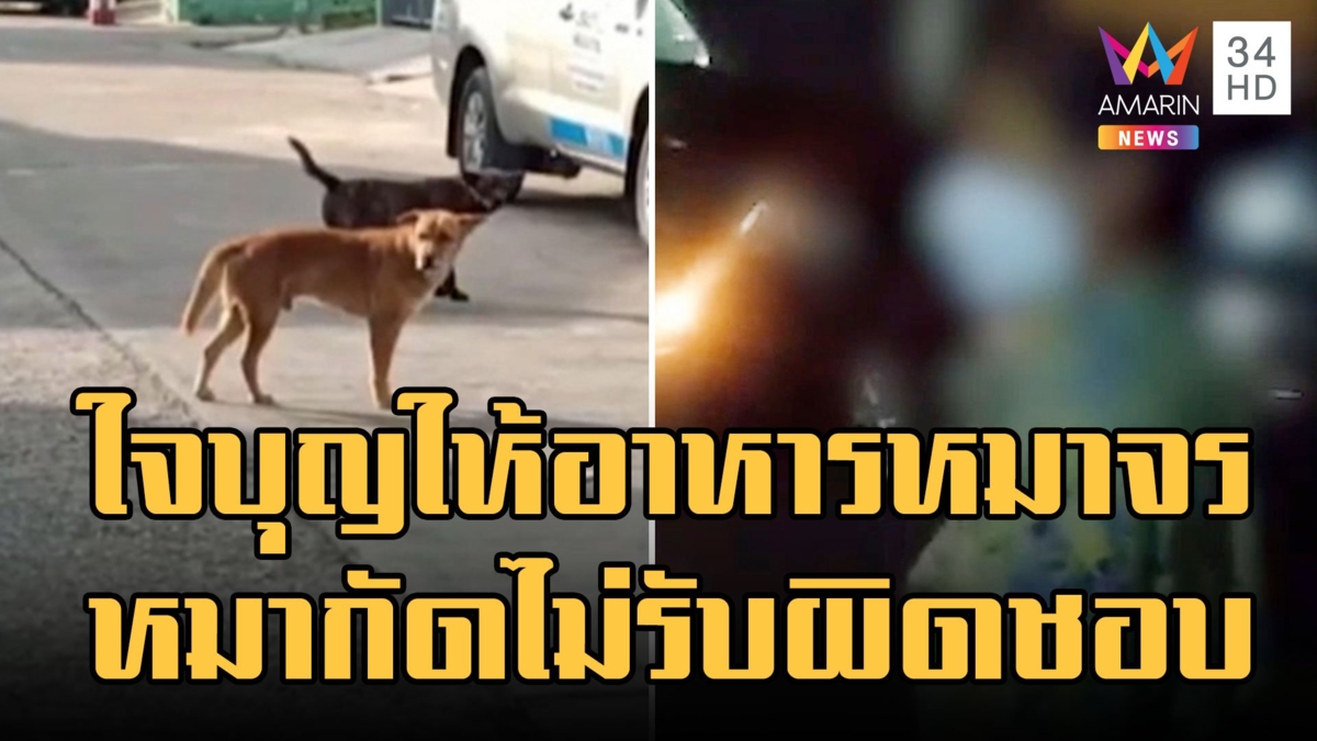 ป้าให้อาหารหมาจรจัด กัดเด็กไม่รับผิดชอบ