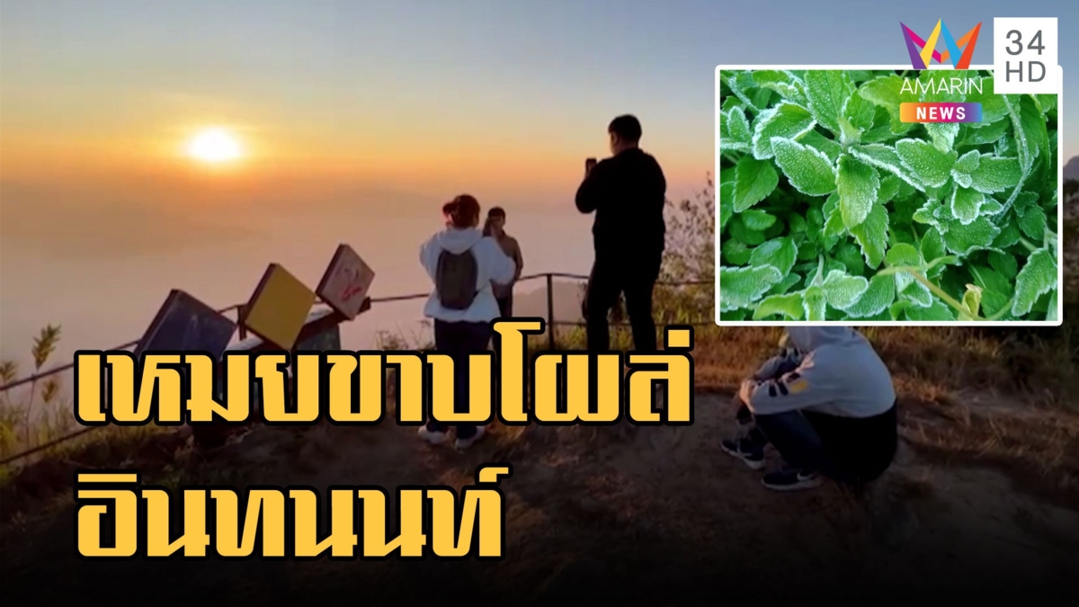 ดอยอินทนนท์ เชียงใหม่ หนาว 4 องศา เหมยขาบปกคลุมใบไม้