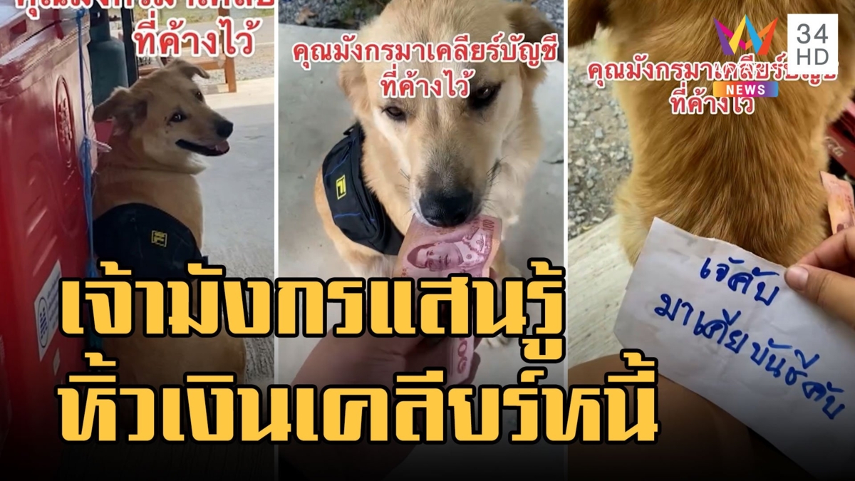 เจ้ามังกร ลูกค้า 4 ขา พกเงินเคลียร์บัญชีร้านขายของชำ