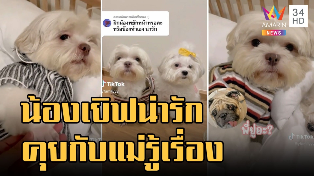 น้องเยิฟแสนรู้ พยักหน้าตอบแม่ทุกคำ แบบนี้หลงไม่ไหว
