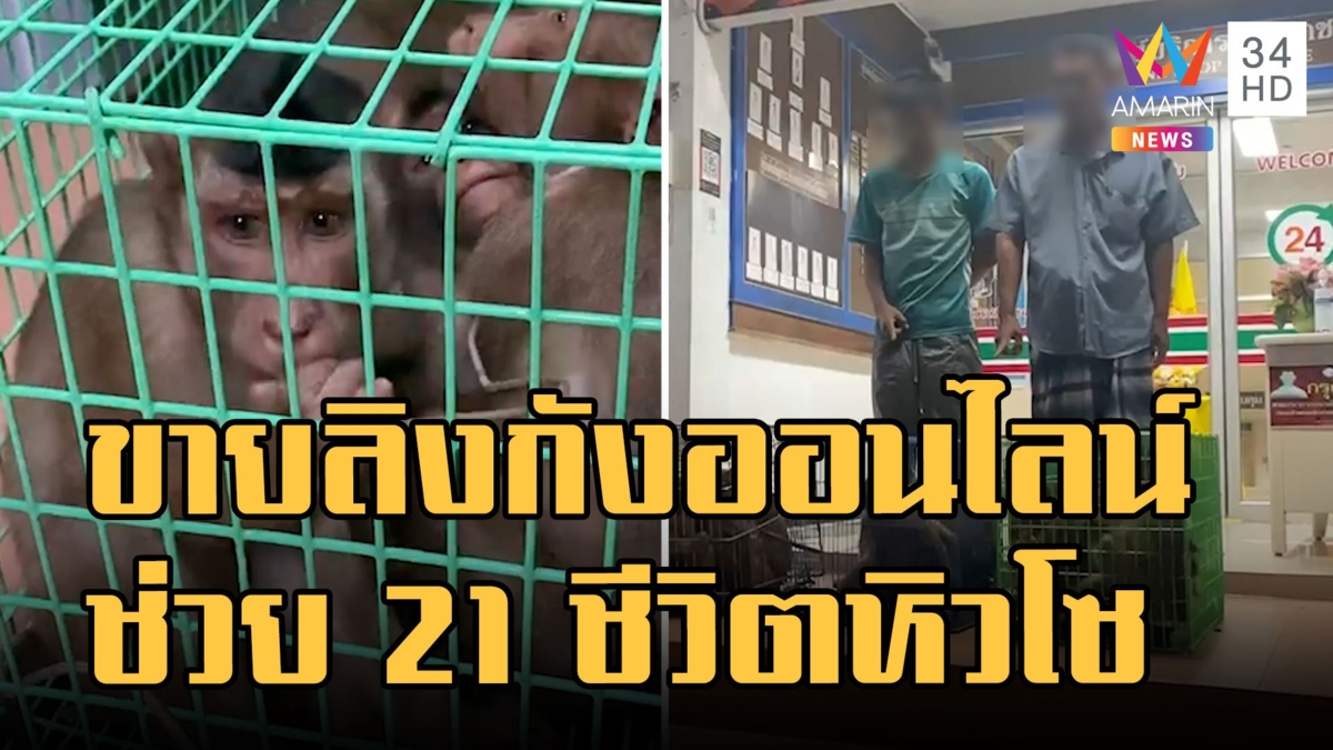รวบผู้ต้องหาขายลิงกังผ่านออนไลน์ โทษหนักคุก 5 ปี ปรับ 5 แสน