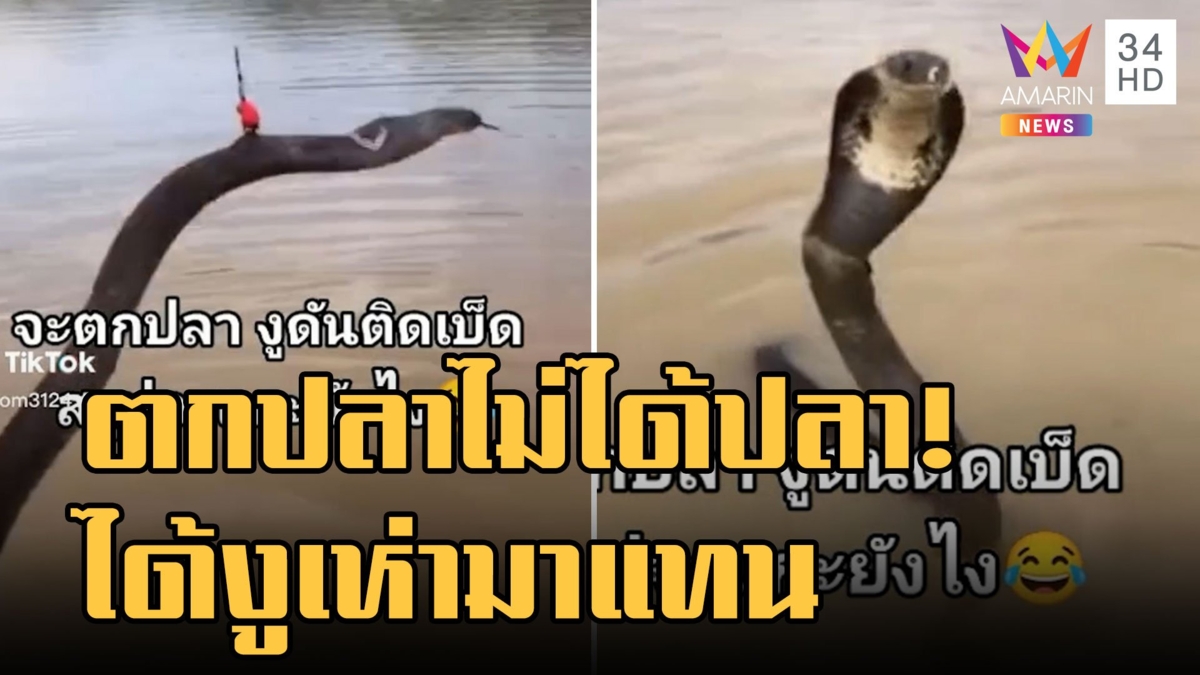หนุ่มตกปลา ไม่ได้ปลา แต่ได้งูเห่าติดเบ็ดมาแทน