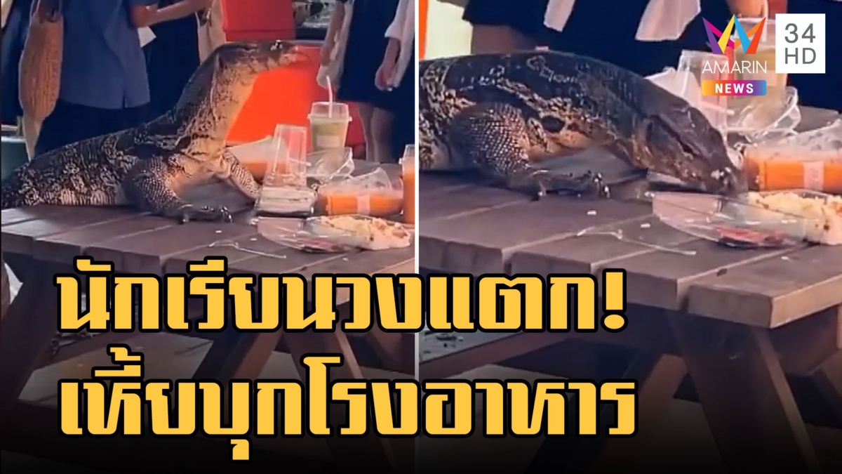 ตัวเหี้ยบุกงาน Open House หิวหนัมากบุกโรงอาหาร มธ.