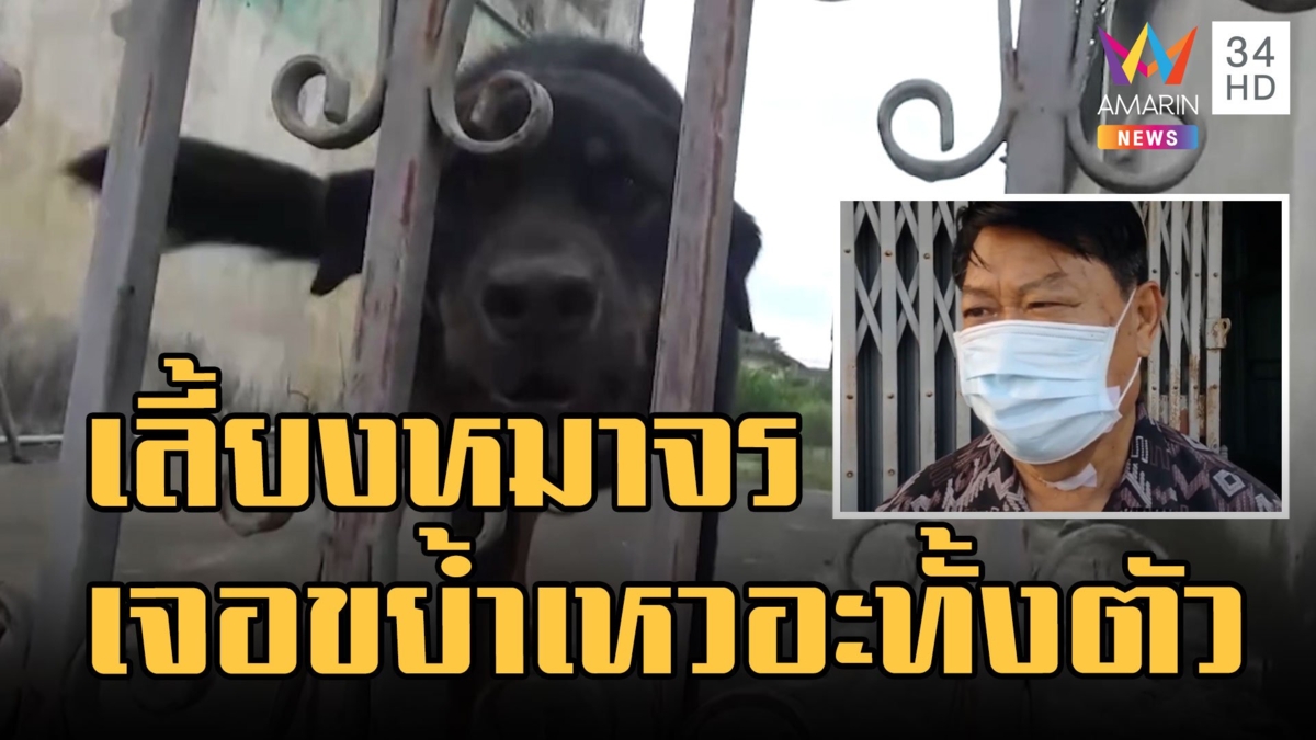 ตาเลี้ยงหมาจรตั้งแต่เด็ก เจอขย้ำเหวอทั้งตัว