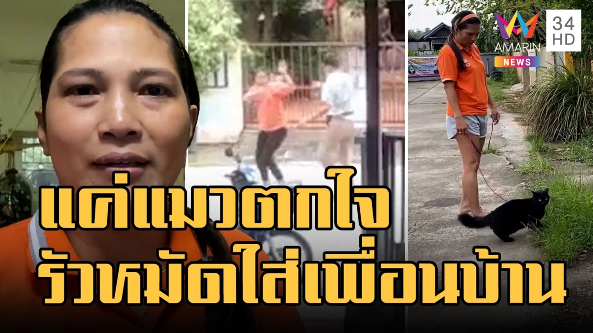 หนุ่มสาวโหด! รัวหมัดใส่เพื่อนบ้านน่วม แค่เรื่องแมวตกใจ