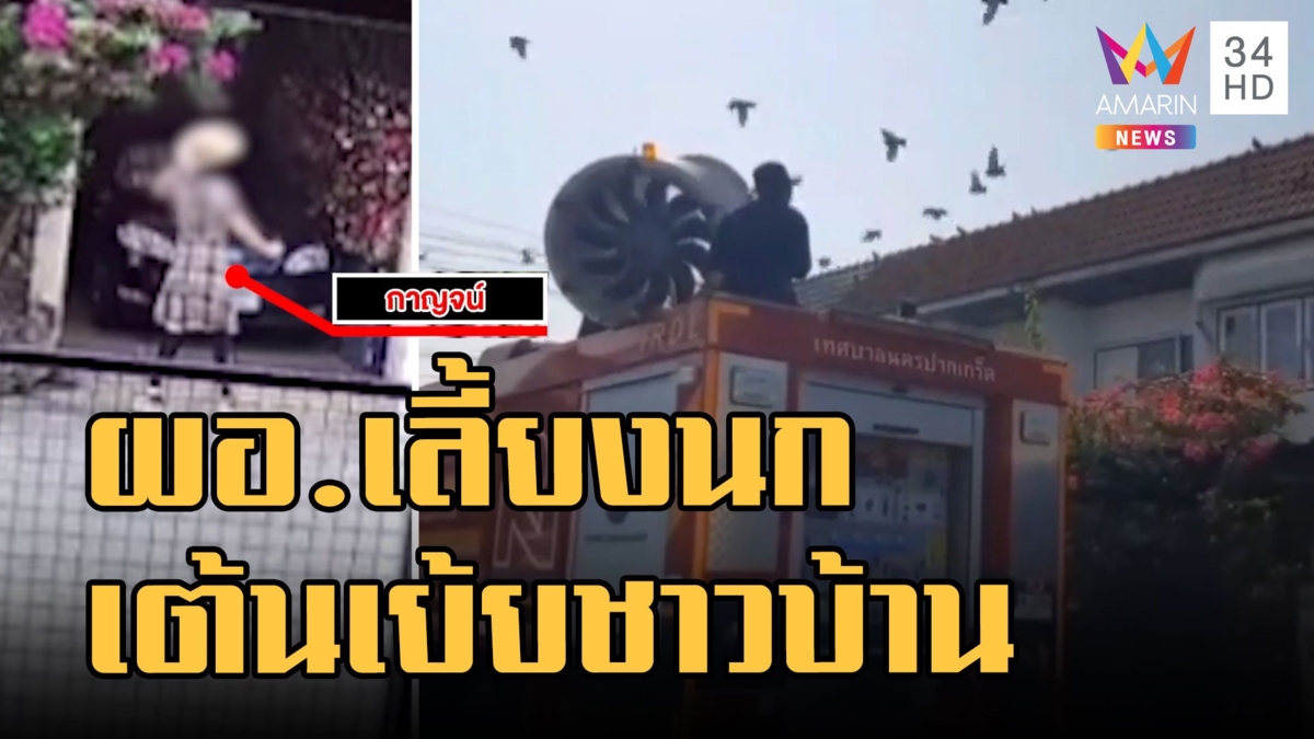 ดราม่า ผอ.เลี้ยงนกพิราบทำเดือดร้อนทั้งหมู่บ้าน แถมเต้นเย้ย