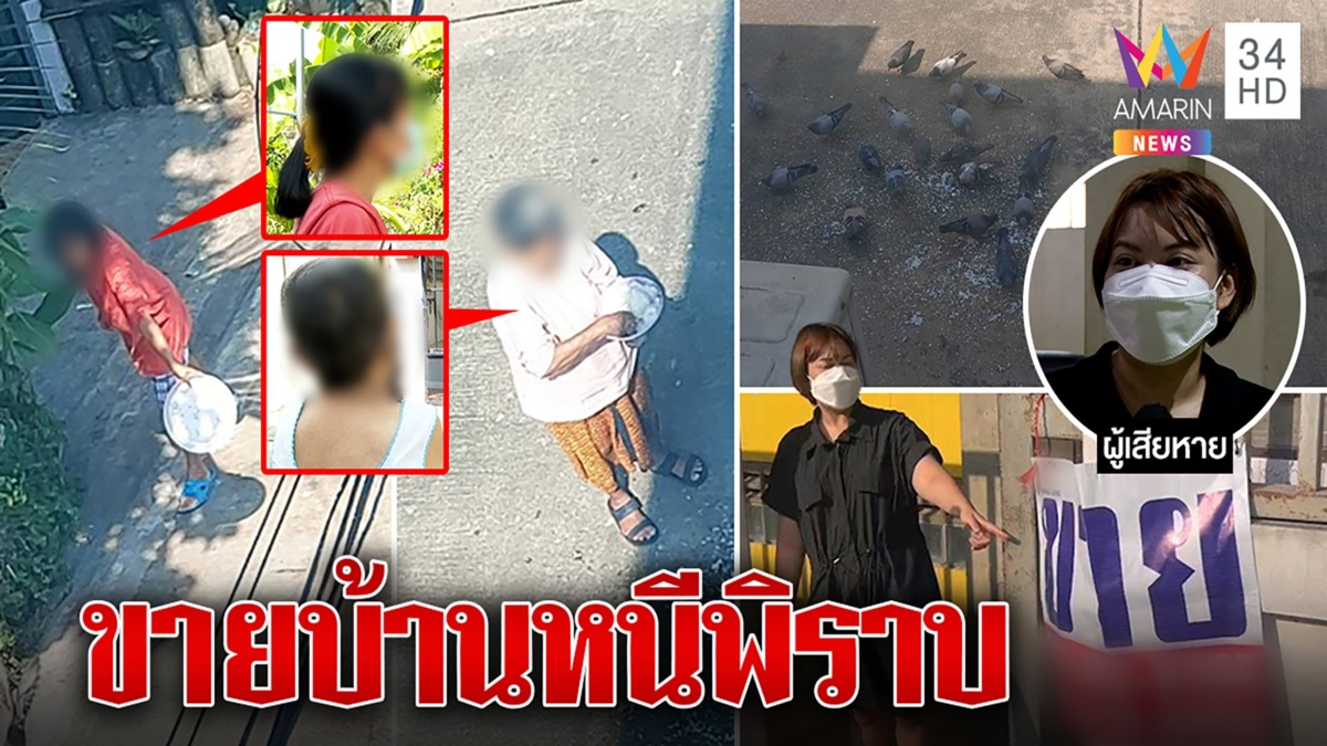 สาวดัมป์ขายบ้านถูกหนีฝูงพิราบป่วน สองป้าโปรยข้าวเลี้ยงแค่ทำบุญ