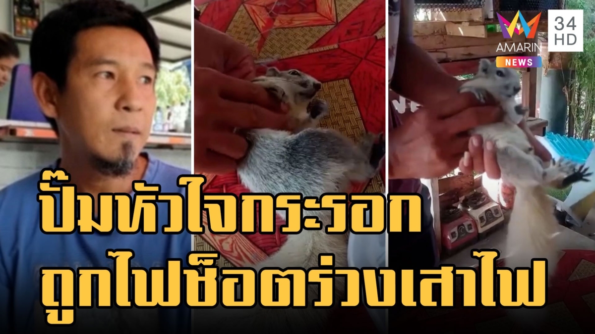 หนุ่มกู้ภัยใจบุญ ปั๊มหัวใจช่วยกระรอกถูกไฟช็อตร่วงจากเสาไฟ