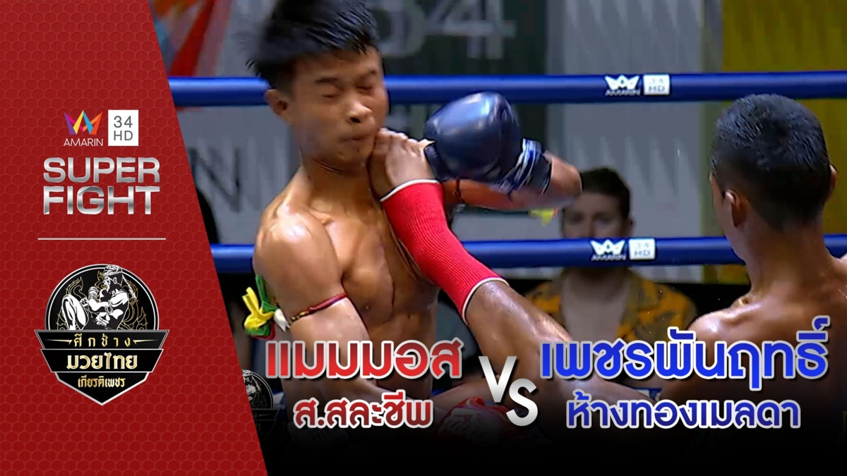 แมมมอส ส.สละชีพ Vs เพชรพันฤทธิ์ ห้างทองเมลดา
