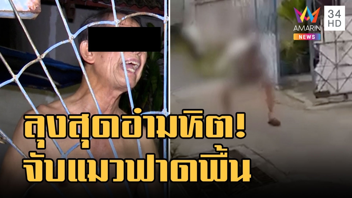 ลุงโมโหแมวเข้าบ้าน จับทุบกับพื้นจนตาย