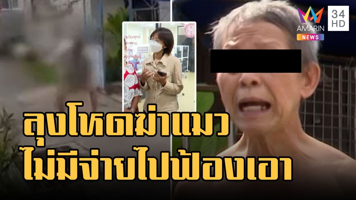 ลุงโหดฆ่าแมวตาย เจ้าของเรียก 5 หมื่นไม่มีจ่ายไปให้ฟ้องเอา