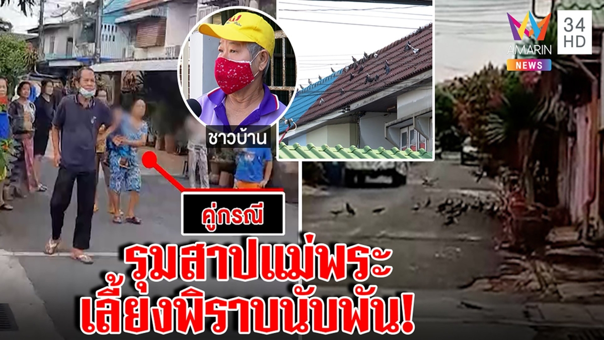 พิราบนับพันปูพรมยึดหมู่บ้าน ต้นตอผอ.ใจบุญชอบเลี้ยง ผู้คนรุมสาปโรครุมขี้หึ่ง