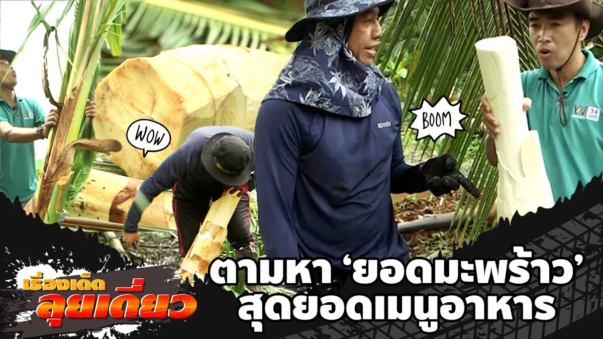 เรื่องเด็ดลุยเดี่ยว | ตามหายอดมะพร้าว สุดยอดเมนูอาหาร จ.สมุทรสงคราม