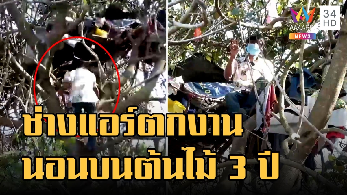 หนุ่มช่างแอร์ ตกงานไร้บ้าน สร้างรังบนต้นไม้ 3 ปีไม่เคยตก