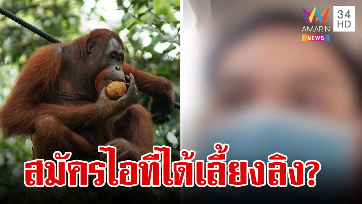 หนุ่มสุดงง สมัครงานไอที แต่ให้ตำแหน่งเลี้ยงลิง