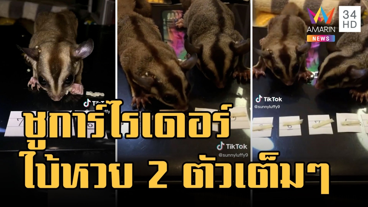 "รูฟี่-ซันนี่" ชูการ์ไรเดอร์ แจกโชค 2 ตัวงวดนี้