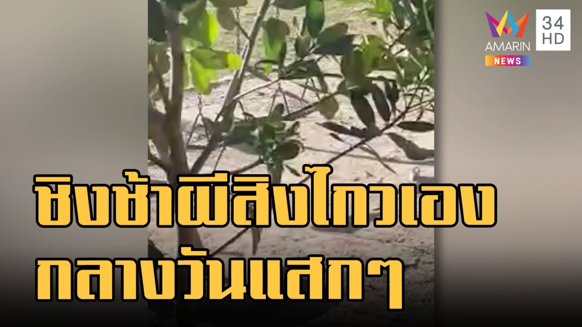 ชิงช้าผีสิงในโรงเรียน ชวนหลอนกลางวันแสกๆ