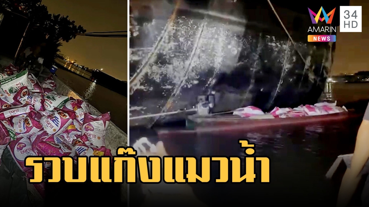 แก๊งแมวน้ำ ปีนเรือสินค้าขโมยข้าวสารกลางแม่น้ำ | ข่าวเที่ยงอมรินทร์ | 17 ก.พ.66