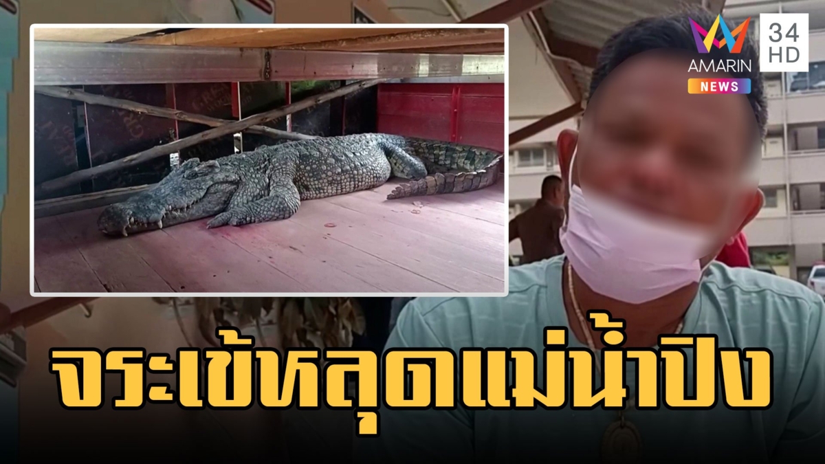 ผวา! คณะโชว์ทำจระเข้หลุด มุดแม่น้ำปิงหนี เจ้าของบอกไม่เห็นเป็นไร