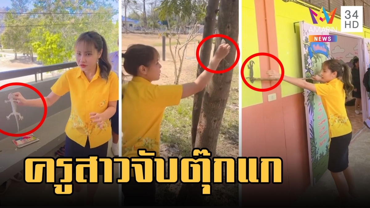 ครูสาวใจกล้า จับตุ๊กแก นักเรียนกรี๊ดลั่นห้องเรียน