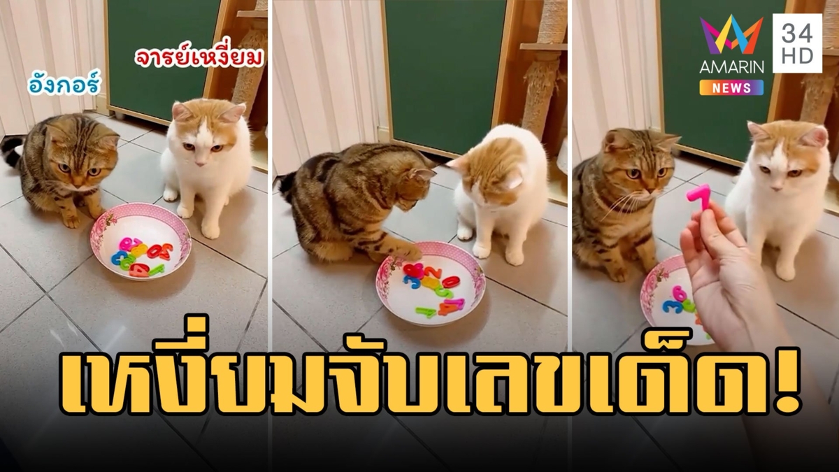 อ.เหงี่ยม ควงแฟน จับแล้ว 3 เลขเด็ด - เจ๊ฟองเบียร์ บอกแล้วชอบตัวไหน