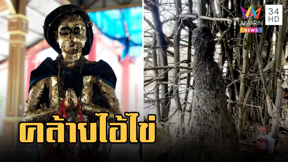 จอมปลวกไอ้ไข่ โผล่ข้างกอไม้ข้างศาลพระภูมิ แห่ขอโชค
