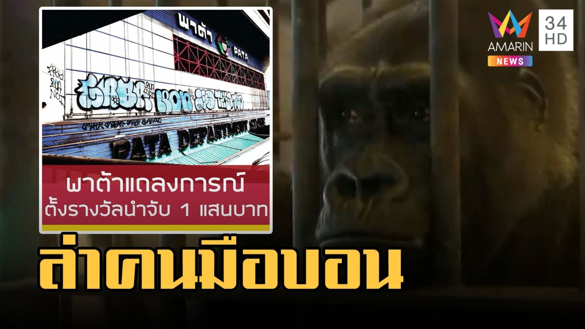 พาต้า ตั้งรางวัลนำจับ 1 แสน มือดีบุกรุกพ่นสเปรย์ "ปล่อยบัวน้อย"