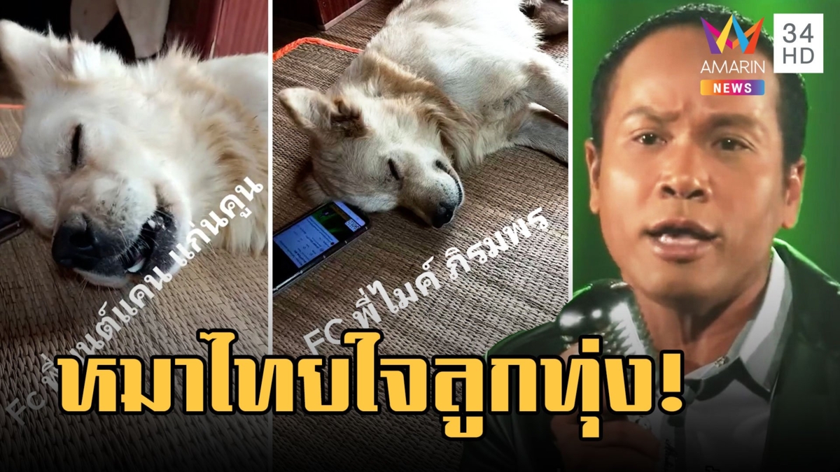 ไข่เค็มหมาไทยใจลูกทุ่ง ร้องเพลง "ไมค์ ภิรมย์พร - มนต์แคน"
